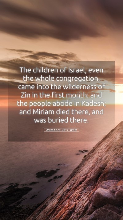 Picture 05 - Numbers 20:1 WEB Mobile Phone Wallpaper - The children of Israel, even the whole - Mobile Bible Verse Wallpaper