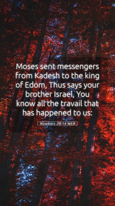 Picture 05 - Numbers 20:14 WEB Mobile Phone Wallpaper - Moses sent messengers from Kadesh to the king of - Mobile Bible Verse Wallpaper