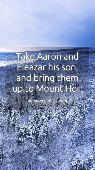 Picture 05 - Numbers 20:25 WEB Mobile Phone Wallpaper - Take Aaron and Eleazar his son, and bring them up - Mobile Bible Verse Wallpaper