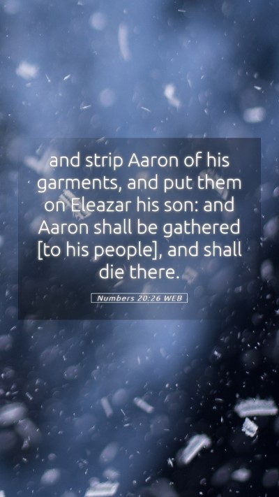 Picture 05 - Numbers 20:26 WEB Mobile Phone Wallpaper - and strip Aaron of his garments, and put them on - Mobile Bible Verse Wallpaper