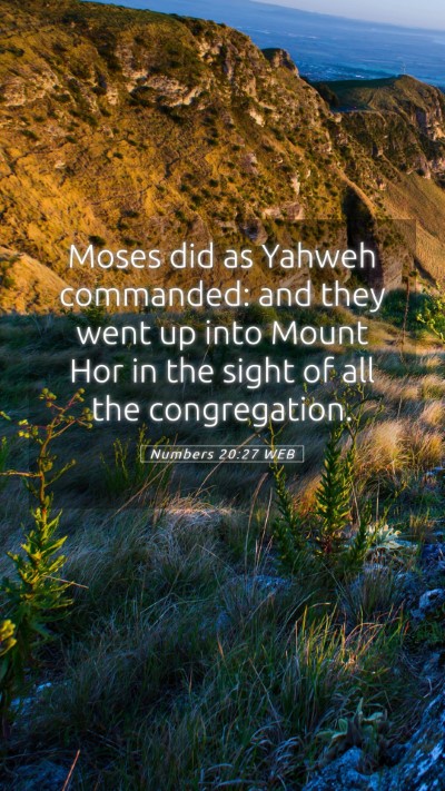 Picture 05 - Numbers 20:27 WEB Mobile Phone Wallpaper - Moses did as Yahweh commanded: and they went up - Mobile Bible Verse Wallpaper