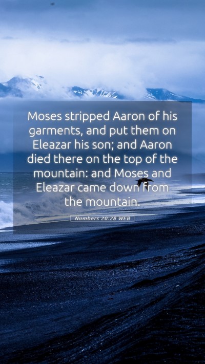 Picture 05 - Numbers 20:28 WEB Mobile Phone Wallpaper - Moses stripped Aaron of his garments, and put - Mobile Bible Verse Wallpaper