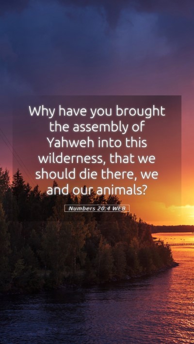 Picture 05 - Numbers 20:4 WEB Mobile Phone Wallpaper - Why have you brought the assembly of Yahweh into - Mobile Bible Verse Wallpaper