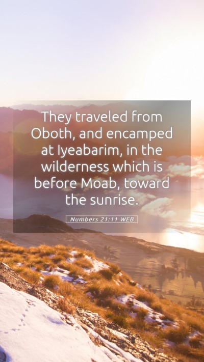 Picture 05 - Numbers 21:11 WEB Mobile Phone Wallpaper - They traveled from Oboth, and encamped at - Mobile Bible Verse Wallpaper