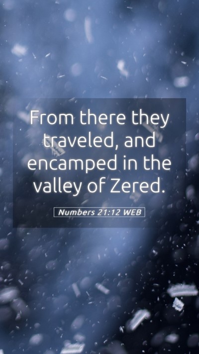 Picture 05 - Numbers 21:12 WEB Mobile Phone Wallpaper - From there they traveled, and encamped in the - Mobile Bible Verse Wallpaper