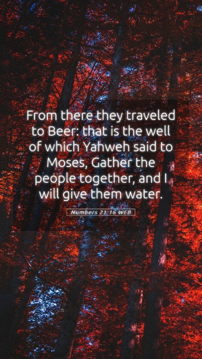 Picture 05 - Numbers 21:16 WEB Mobile Phone Wallpaper - From there they traveled to Beer: that is the - Mobile Bible Verse Wallpaper