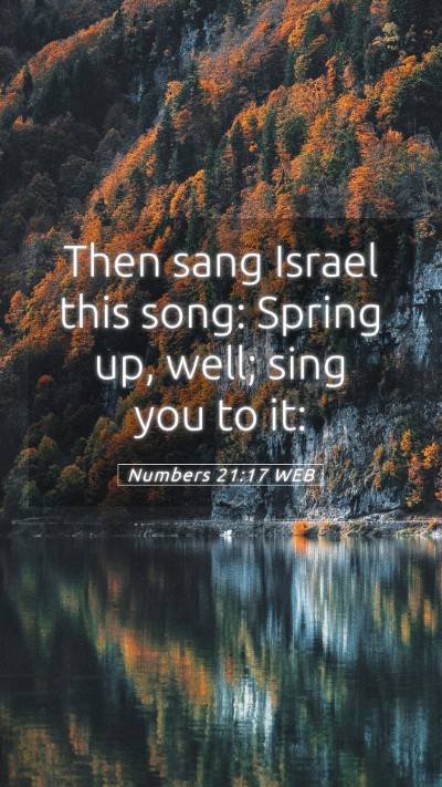 Picture 05 - Numbers 21:17 WEB Mobile Phone Wallpaper - Then sang Israel this song: Spring up, well; sing - Mobile Bible Verse Wallpaper