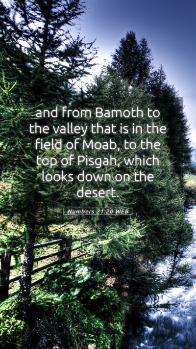 Picture 05 - Numbers 21:20 WEB Mobile Phone Wallpaper - and from Bamoth to the valley that is in the - Mobile Bible Verse Wallpaper