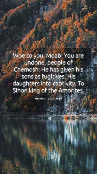 Picture 05 - Numbers 21:29 WEB Mobile Phone Wallpaper - Woe to you, Moab! You are undone, people of - Mobile Bible Verse Wallpaper