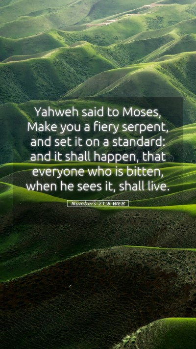 Picture 05 - Numbers 21:8 WEB Mobile Phone Wallpaper - Yahweh said to Moses, Make you a fiery serpent, - Mobile Bible Verse Wallpaper