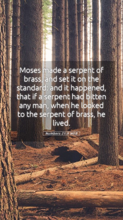 Picture 05 - Numbers 21:9 WEB Mobile Phone Wallpaper - Moses made a serpent of brass, and set it on the - Mobile Bible Verse Wallpaper