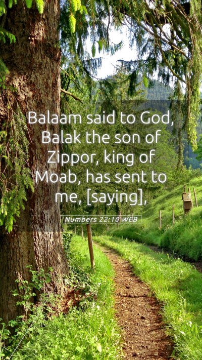 Picture 05 - Numbers 22:10 WEB Mobile Phone Wallpaper - Balaam said to God, Balak the son of Zippor, king - Mobile Bible Verse Wallpaper