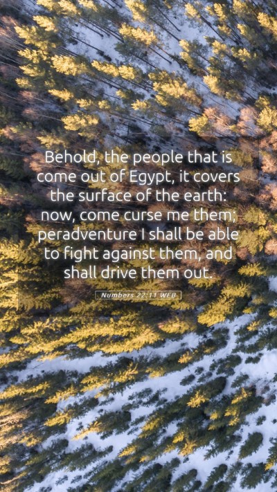 Picture 05 - Numbers 22:11 WEB Mobile Phone Wallpaper - Behold, the people that is come out of Egypt, it - Mobile Bible Verse Wallpaper