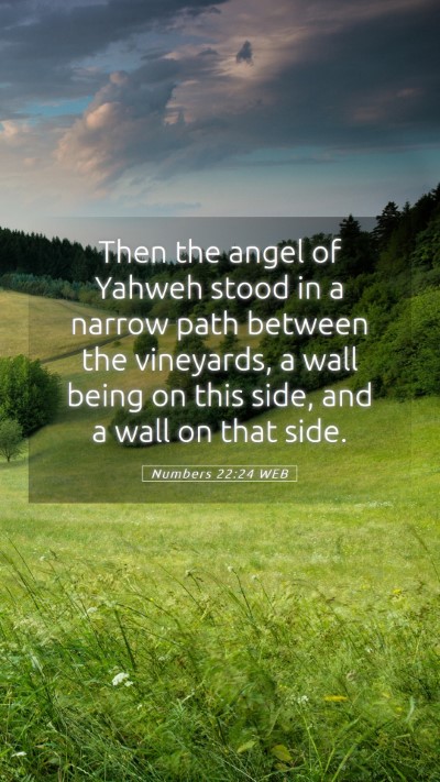 Picture 05 - Numbers 22:24 WEB Mobile Phone Wallpaper - Then the angel of Yahweh stood in a narrow path - Mobile Bible Verse Wallpaper