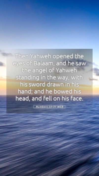 Picture 05 - Numbers 22:31 WEB Mobile Phone Wallpaper - Then Yahweh opened the eyes of Balaam, and he saw - Mobile Bible Verse Wallpaper