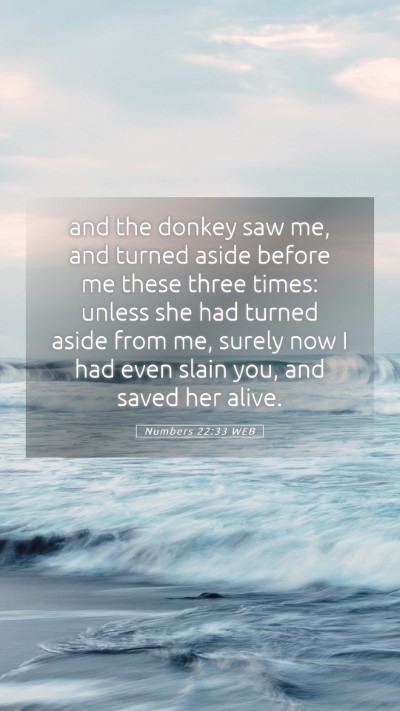 Picture 05 - Numbers 22:33 WEB Mobile Phone Wallpaper - and the donkey saw me, and turned aside before me - Mobile Bible Verse Wallpaper