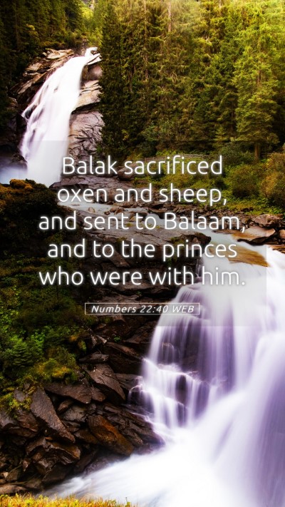 Picture 05 - Numbers 22:40 WEB Mobile Phone Wallpaper - Balak sacrificed oxen and sheep, and sent to - Mobile Bible Verse Wallpaper