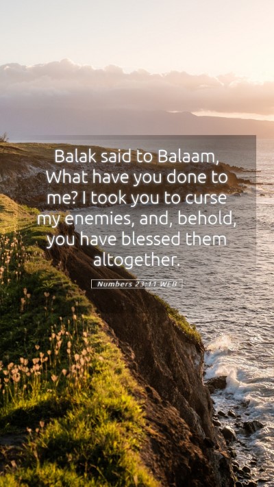 Picture 05 - Numbers 23:11 WEB Mobile Phone Wallpaper - Balak said to Balaam, What have you done to me? I - Mobile Bible Verse Wallpaper