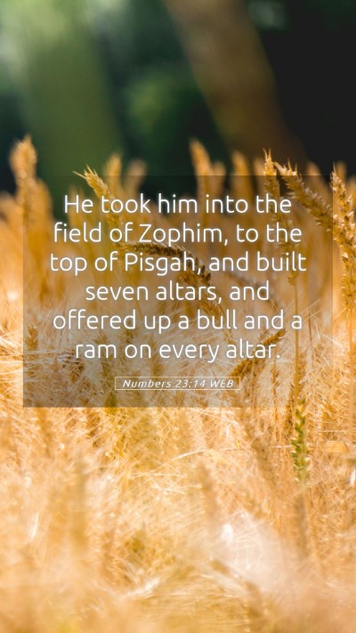 Picture 05 - Numbers 23:14 WEB Mobile Phone Wallpaper - He took him into the field of Zophim, to the top - Mobile Bible Verse Wallpaper