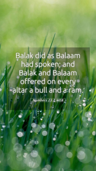 Picture 05 - Numbers 23:2 WEB Mobile Phone Wallpaper - Balak did as Balaam had spoken; and Balak and - Mobile Bible Verse Wallpaper