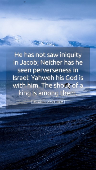 Picture 05 - Numbers 23:21 WEB Mobile Phone Wallpaper - He has not saw iniquity in Jacob; Neither has he - Mobile Bible Verse Wallpaper