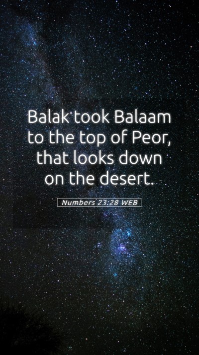Picture 05 - Numbers 23:28 WEB Mobile Phone Wallpaper - Balak took Balaam to the top of Peor, that looks - Mobile Bible Verse Wallpaper