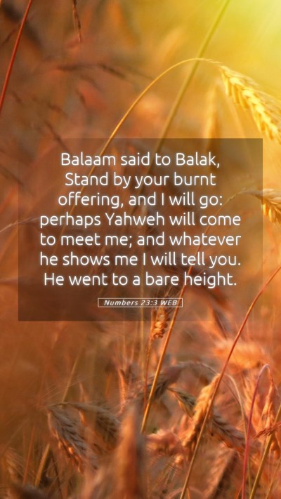 Picture 05 - Numbers 23:3 WEB Mobile Phone Wallpaper - Balaam said to Balak, Stand by your burnt - Mobile Bible Verse Wallpaper