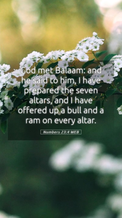 Picture 05 - Numbers 23:4 WEB Mobile Phone Wallpaper - God met Balaam: and he said to him, I have - Mobile Bible Verse Wallpaper