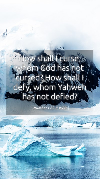 Picture 05 - Numbers 23:8 WEB Mobile Phone Wallpaper - How shall I curse, whom God has not cursed? How - Mobile Bible Verse Wallpaper