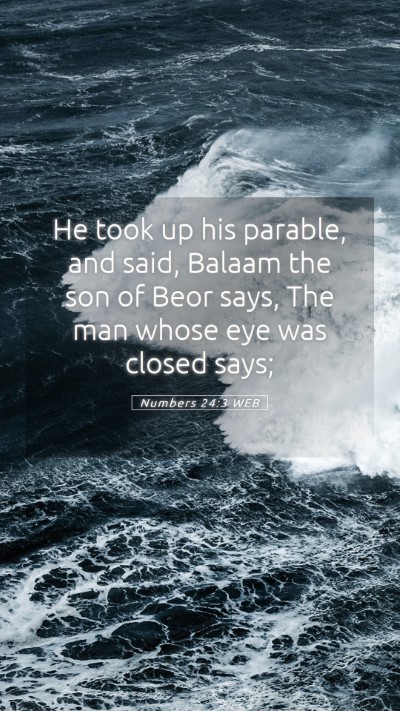 Picture 05 - Numbers 24:3 WEB Mobile Phone Wallpaper - He took up his parable, and said, Balaam the son - Mobile Bible Verse Wallpaper