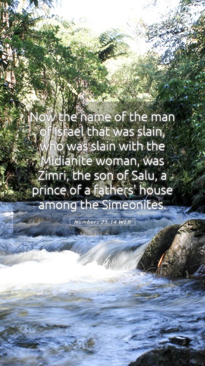 Picture 05 - Numbers 25:14 WEB Mobile Phone Wallpaper - Now the name of the man of Israel that was slain, - Mobile Bible Verse Wallpaper