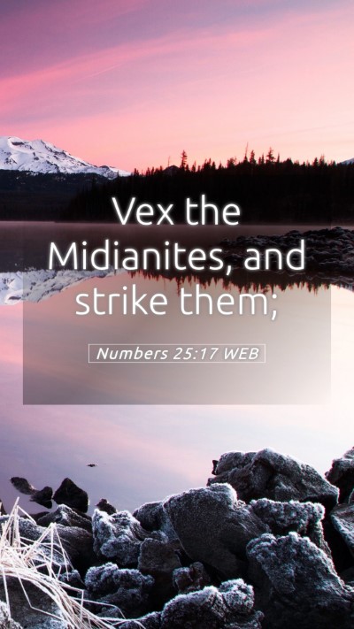 Picture 05 - Numbers 25:17 WEB Mobile Phone Wallpaper - Vex the Midianites, and strike - Mobile Bible Verse Wallpaper