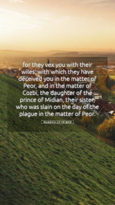 Picture 05 - Numbers 25:18 WEB Mobile Phone Wallpaper - for they vex you with their wiles, with which - Mobile Bible Verse Wallpaper