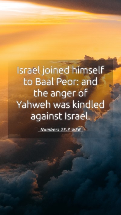 Picture 05 - Numbers 25:3 WEB Mobile Phone Wallpaper - Israel joined himself to Baal Peor: and the anger - Mobile Bible Verse Wallpaper