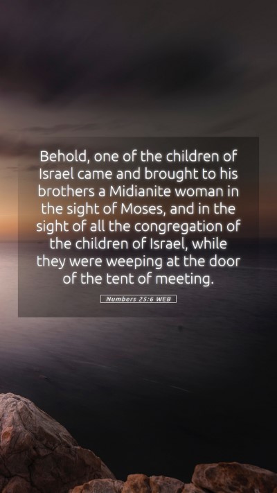 Picture 05 - Numbers 25:6 WEB Mobile Phone Wallpaper - Behold, one of the children of Israel came and - Mobile Bible Verse Wallpaper