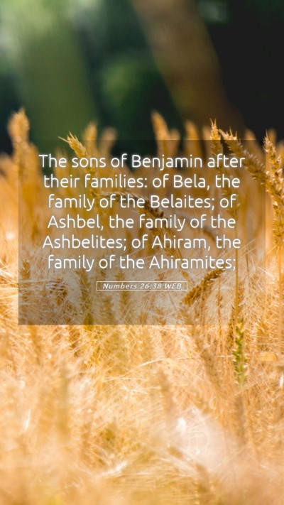 Picture 05 - Numbers 26:38 WEB Mobile Phone Wallpaper - The sons of Benjamin after their families: of - Mobile Bible Verse Wallpaper