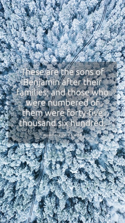 Picture 05 - Numbers 26:41 WEB Mobile Phone Wallpaper - These are the sons of Benjamin after their - Mobile Bible Verse Wallpaper