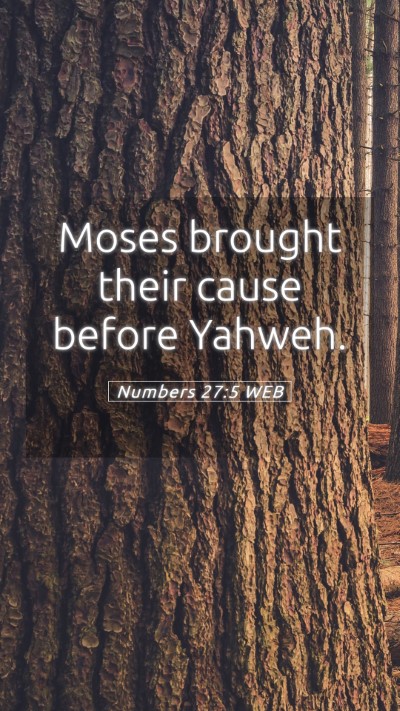 Picture 05 - Numbers 27:5 WEB Mobile Phone Wallpaper - Moses brought their cause before - Mobile Bible Verse Wallpaper