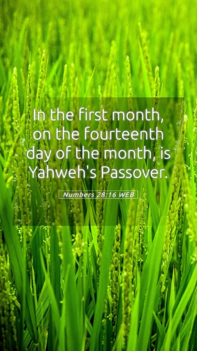 Picture 05 - Numbers 28:16 WEB Mobile Phone Wallpaper - In the first month, on the fourteenth day of the - Mobile Bible Verse Wallpaper