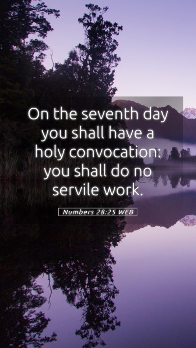 Picture 05 - Numbers 28:25 WEB Mobile Phone Wallpaper - On the seventh day you shall have a holy - Mobile Bible Verse Wallpaper