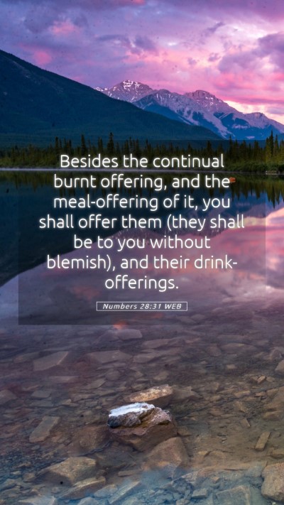 Picture 05 - Numbers 28:31 WEB Mobile Phone Wallpaper - Besides the continual burnt offering, and the - Mobile Bible Verse Wallpaper