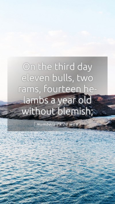 Picture 05 - Numbers 29:20 WEB Mobile Phone Wallpaper - On the third day eleven bulls, two rams, fourteen - Mobile Bible Verse Wallpaper