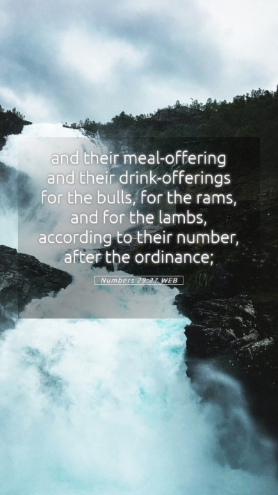 Picture 05 - Numbers 29:27 WEB Mobile Phone Wallpaper - and their meal-offering and their drink-offerings - Mobile Bible Verse Wallpaper