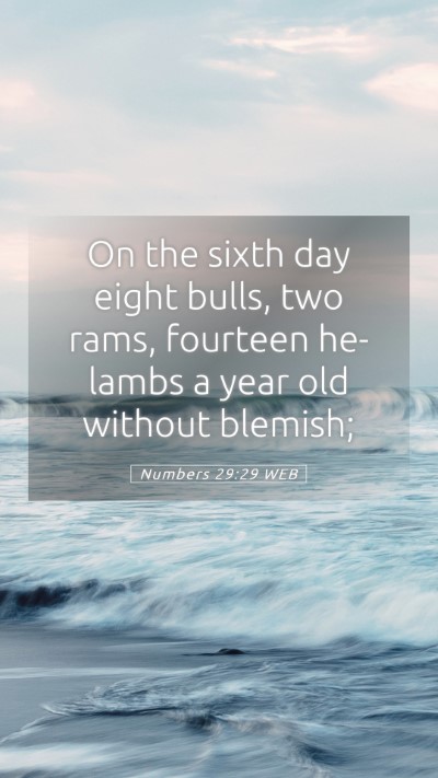 Picture 05 - Numbers 29:29 WEB Mobile Phone Wallpaper - On the sixth day eight bulls, two rams, fourteen - Mobile Bible Verse Wallpaper