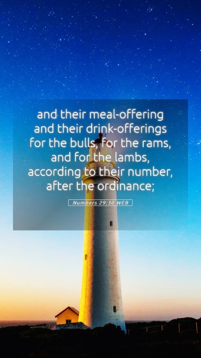Picture 05 - Numbers 29:30 WEB Mobile Phone Wallpaper - and their meal-offering and their drink-offerings - Mobile Bible Verse Wallpaper