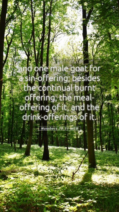 Picture 05 - Numbers 29:31 WEB Mobile Phone Wallpaper - and one male goat for a sin-offering; besides the - Mobile Bible Verse Wallpaper