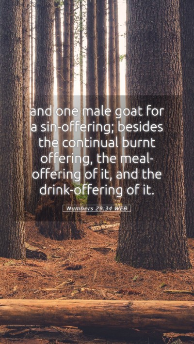 Picture 05 - Numbers 29:34 WEB Mobile Phone Wallpaper - and one male goat for a sin-offering; besides the - Mobile Bible Verse Wallpaper