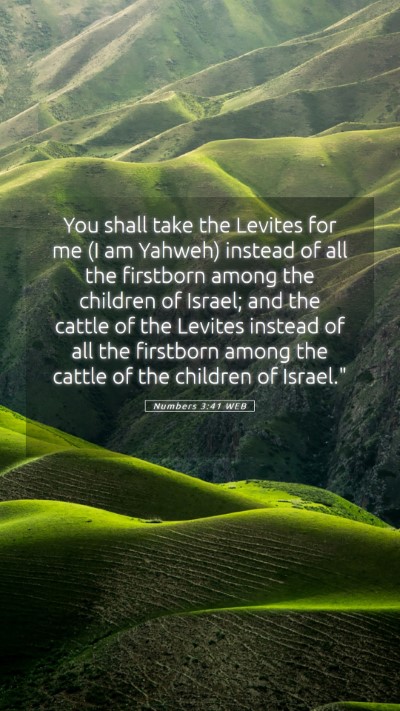 Picture 05 - Numbers 3:41 WEB Mobile Phone Wallpaper - You shall take the Levites for me (I am Yahweh) - Mobile Bible Verse Wallpaper