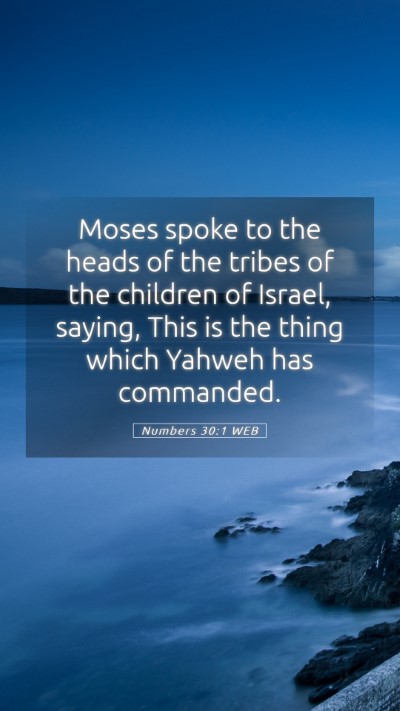 Picture 05 - Numbers 30:1 WEB Mobile Phone Wallpaper - Moses spoke to the heads of the tribes of the - Mobile Bible Verse Wallpaper