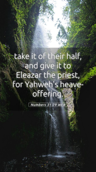 Picture 05 - Numbers 31:29 WEB Mobile Phone Wallpaper - take it of their half, and give it to Eleazar the - Mobile Bible Verse Wallpaper